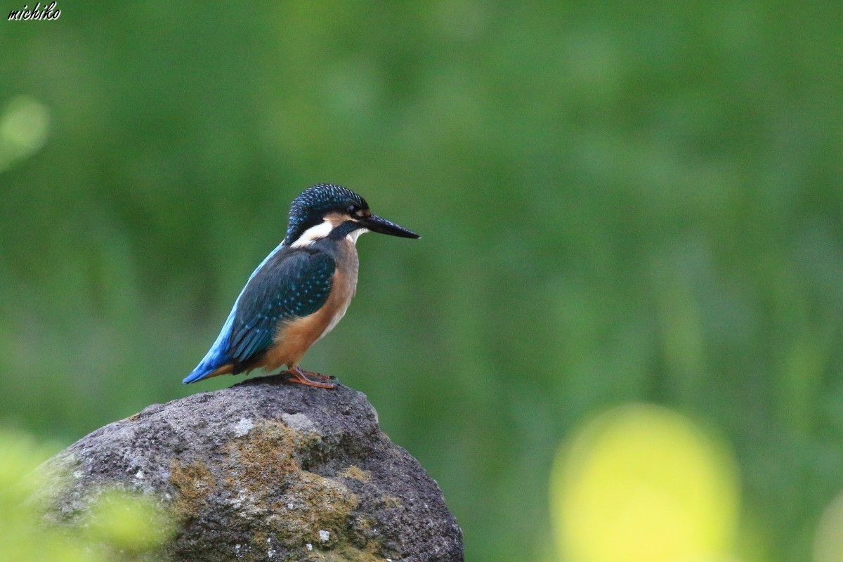 d0352095_21375508.jpg