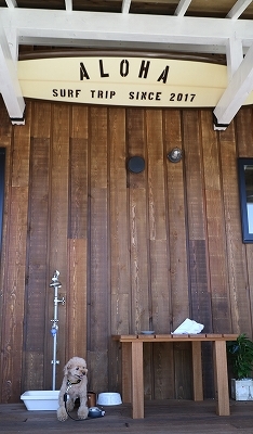 e0227996_20520851.jpg