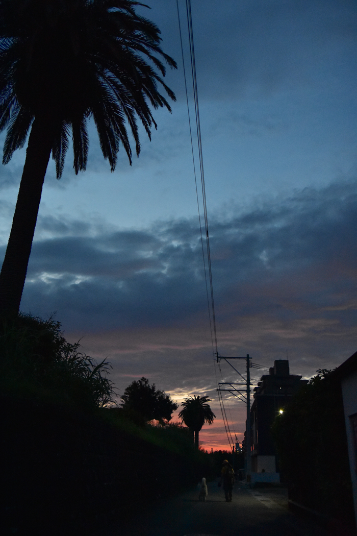 c0049299_22261584.jpg