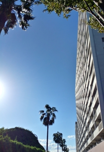 a0351700_12470441.jpg