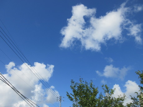 a0203003_21530991.jpg