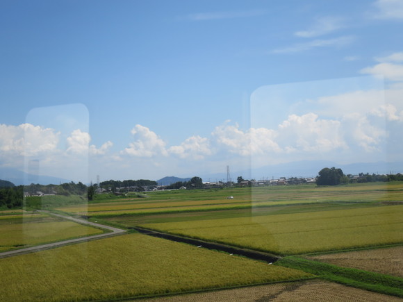 c0212604_2051133.jpg