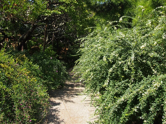 e0245404_1765996.jpg
