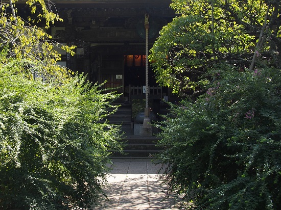 e0245404_1773650.jpg