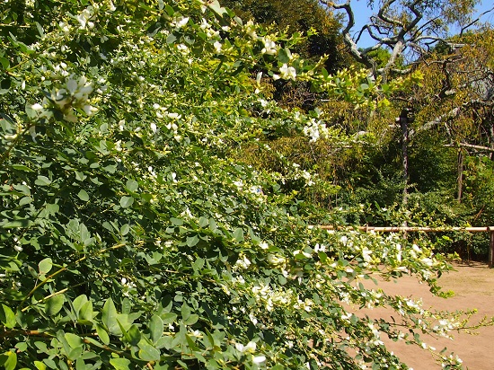 e0245404_179619.jpg