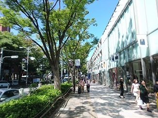 d0091909_17403412.jpg
