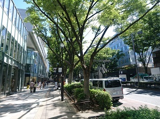 d0091909_17403586.jpg