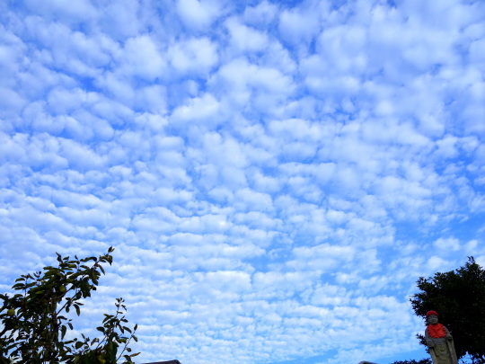 a0158613_13222442.jpg