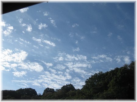 c0352015_20041714.jpg