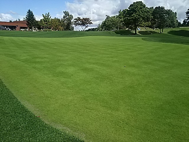 f0227321_20422726.jpg