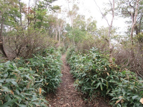f0149422_22430688.jpg