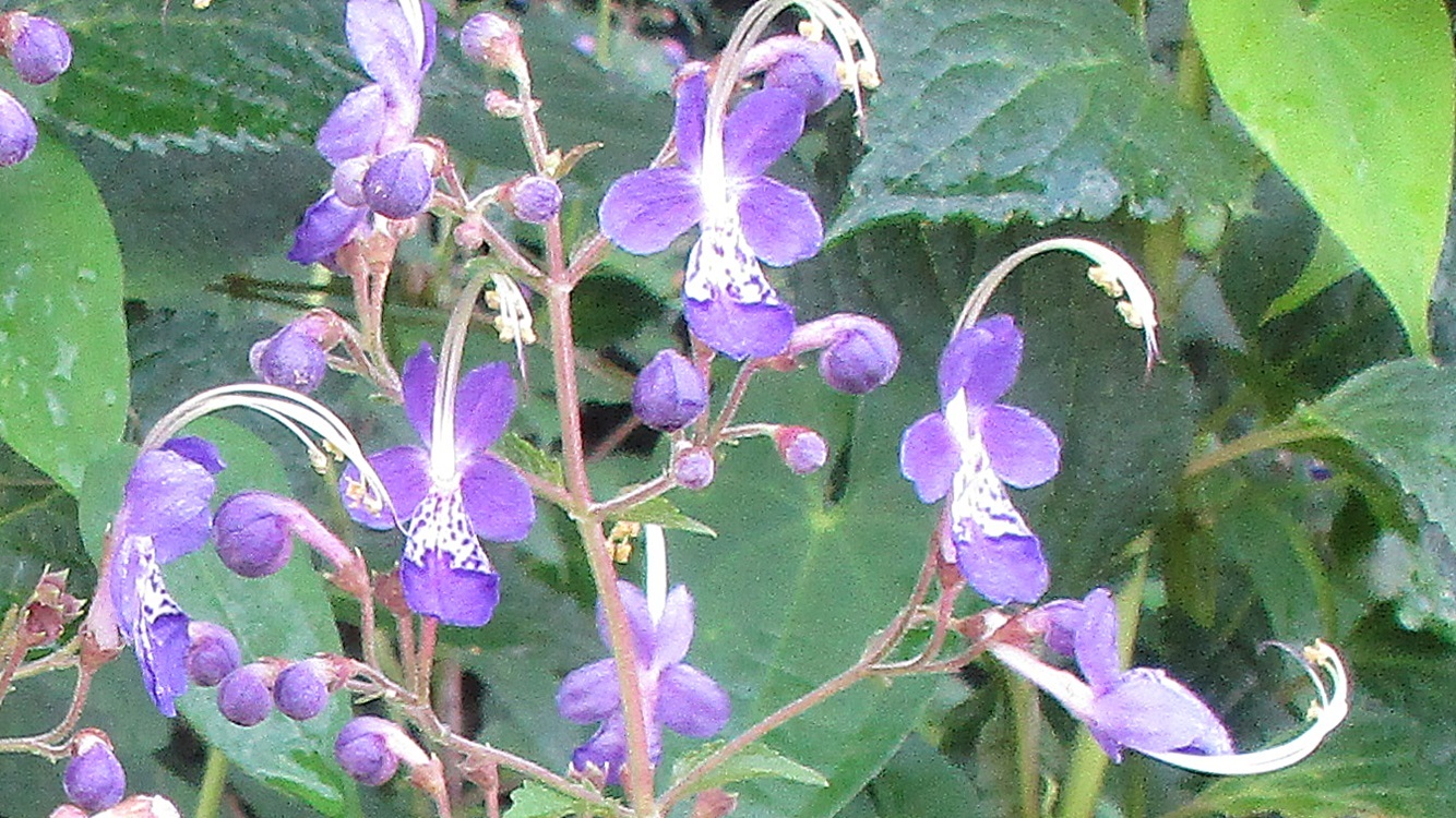 d0181824_10395445.jpg