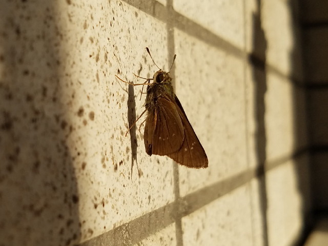 c0365734_22344499.jpg