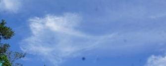 e0166734_19323553.jpg