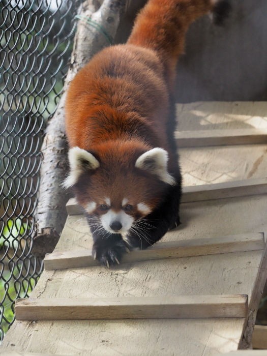 a0149740_17525325.jpg