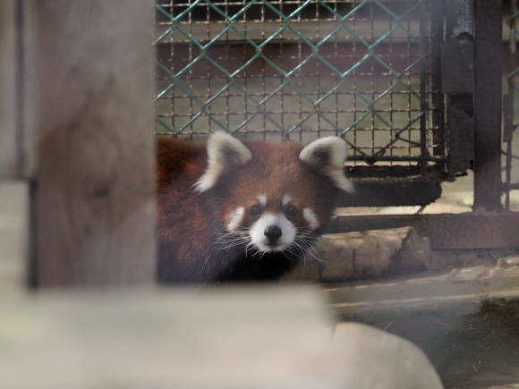 a0149740_17535627.jpg
