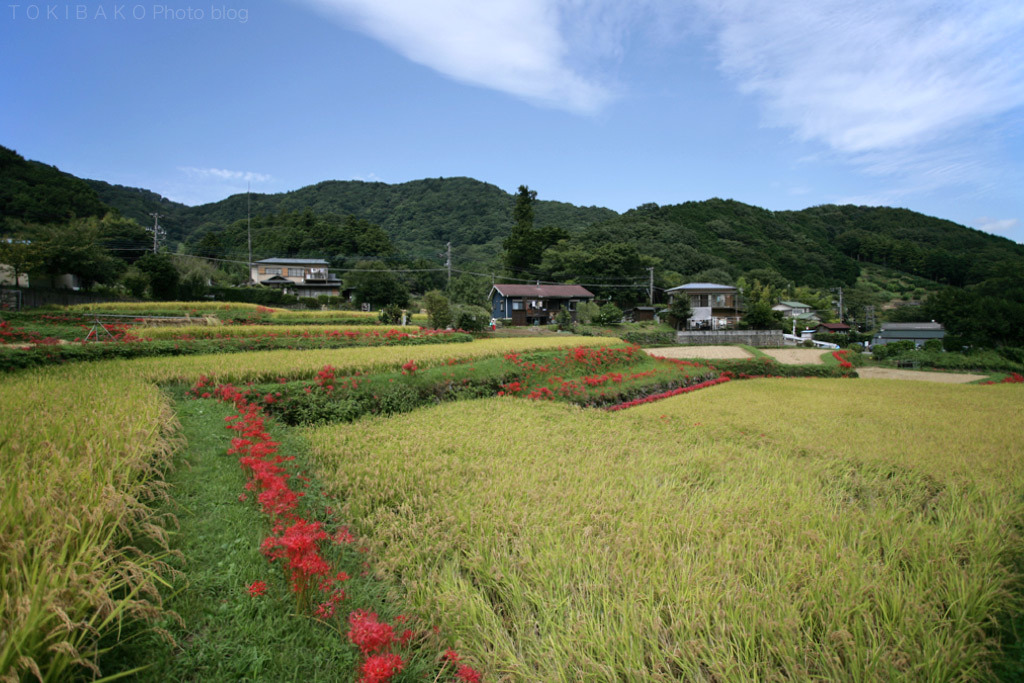 d0100156_17583265.jpg
