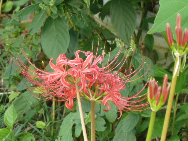 e0278968_22202699.jpg