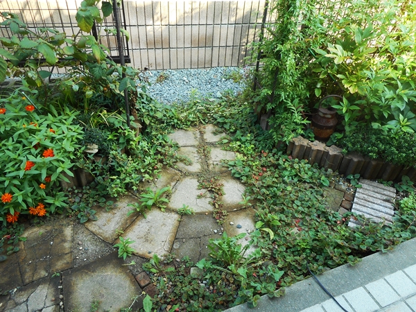 f0366679_16405264.jpg