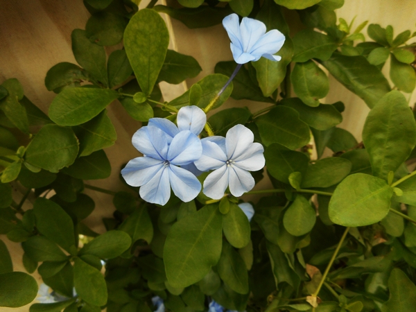 f0366679_2310369.jpg