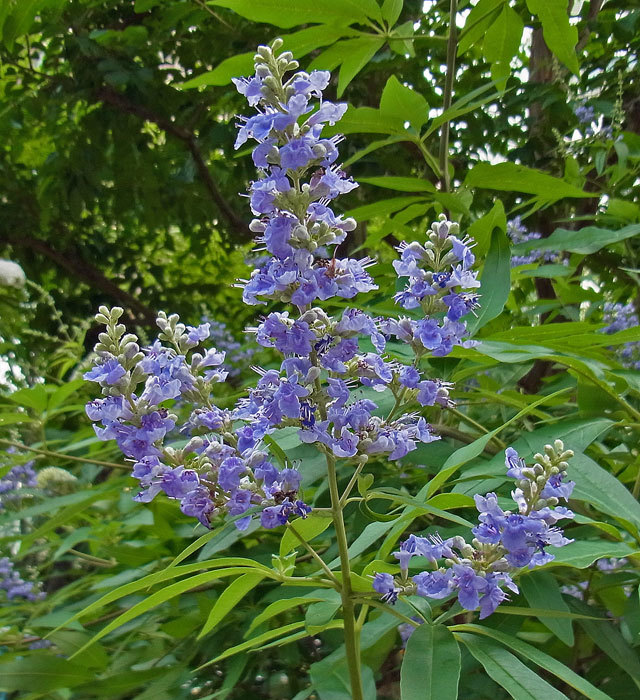 e0158495_17182151.jpg