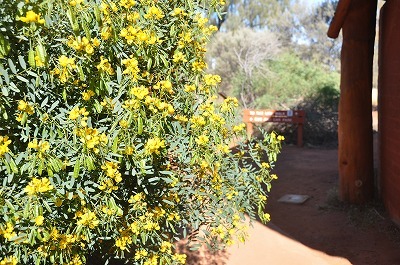 b0143308_21454000.jpg