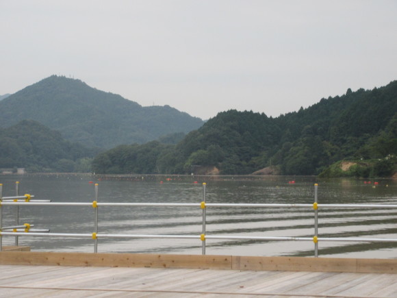 f0231709_21355608.jpg