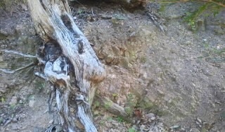 e0143915_14551379.jpg