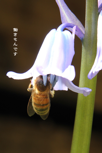d0042827_18084090.jpg