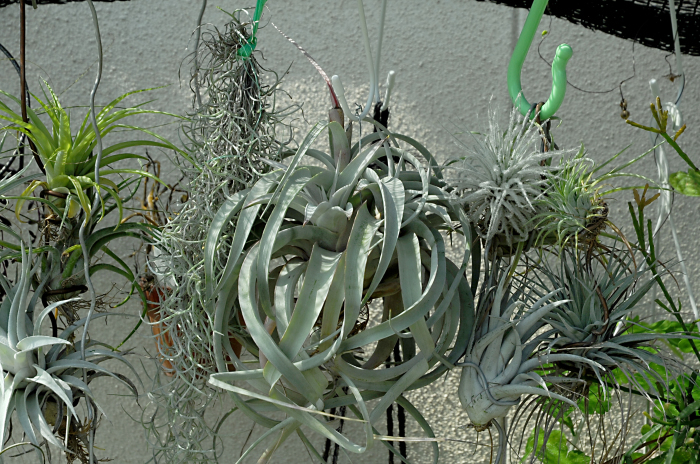 c0172234_21540320.jpg