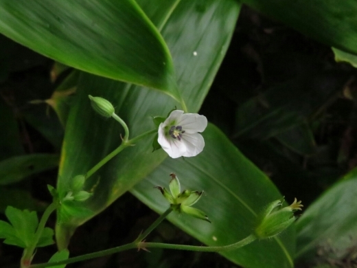 a0018655_09492135.jpg