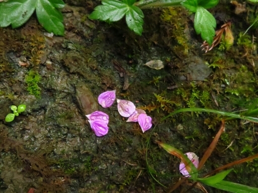a0018655_09492977.jpg