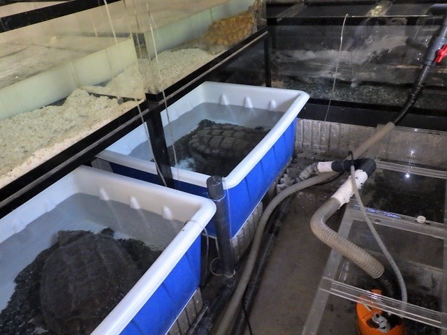 c0105569_01324126.jpg