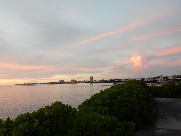 d0082970_23142343.jpg