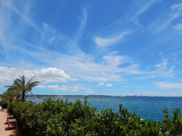 d0082970_23162654.jpg