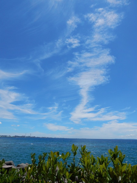 d0082970_23162677.jpg