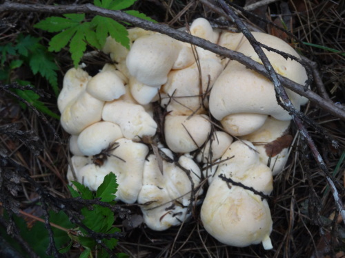 f0231573_17560237.jpg