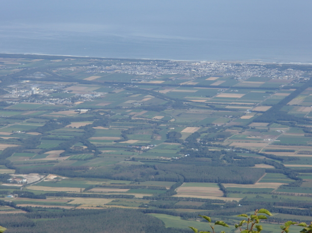 f0130376_19412824.jpg