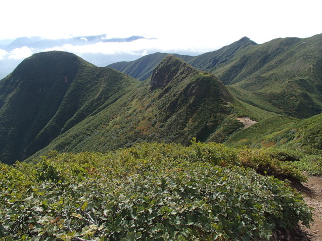 f0130376_19415521.jpg
