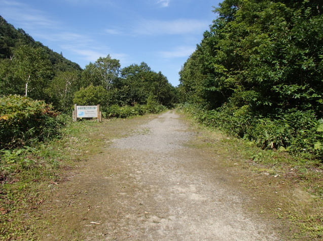 f0130376_19424739.jpg