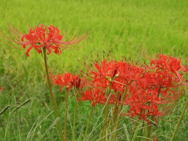 f0378979_13255292.jpg
