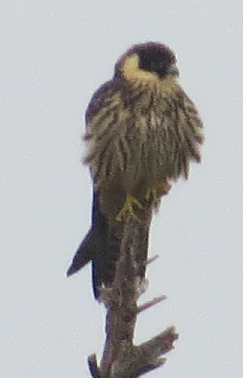 b0317680_12490027.jpg