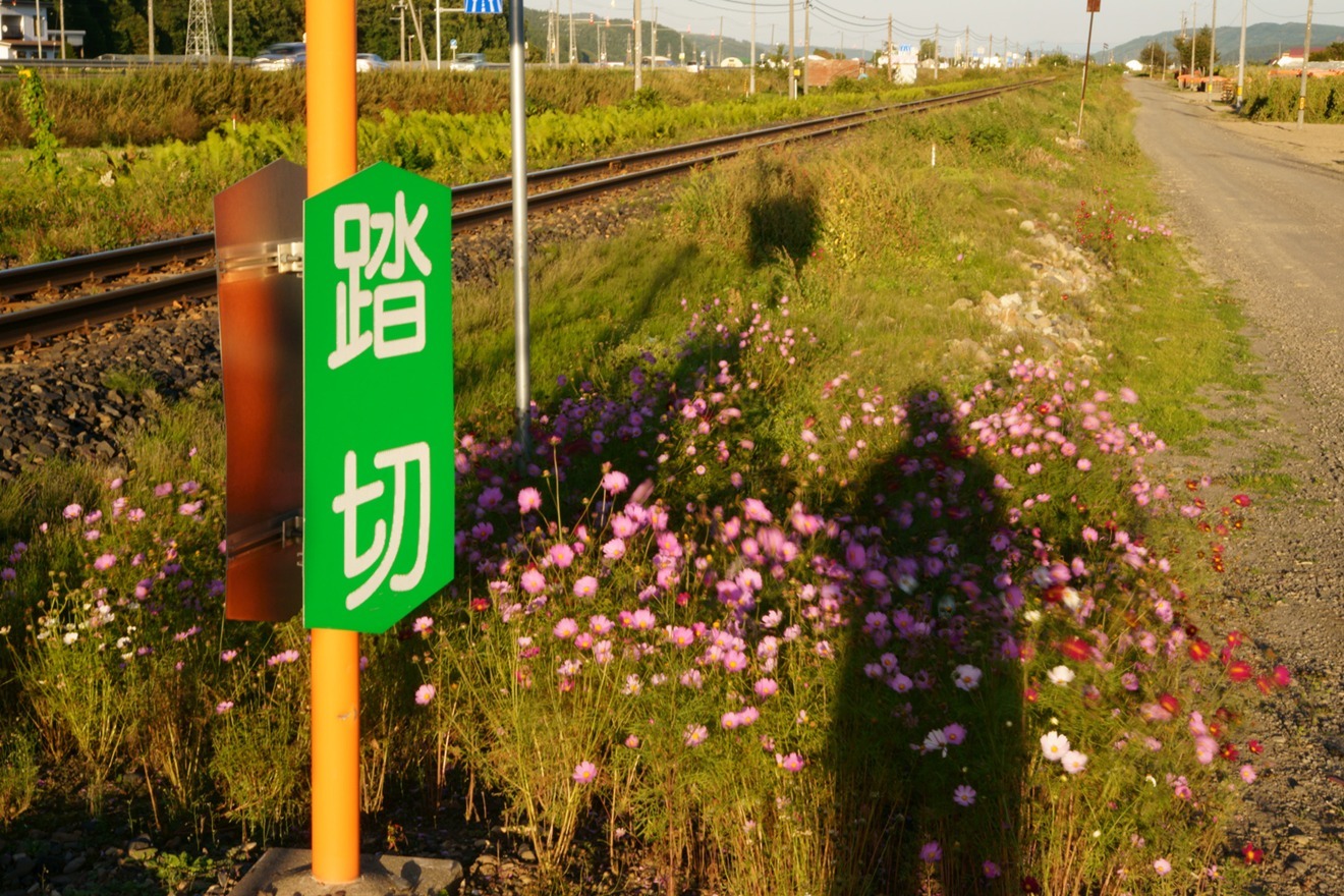 f0242684_22293998.jpg