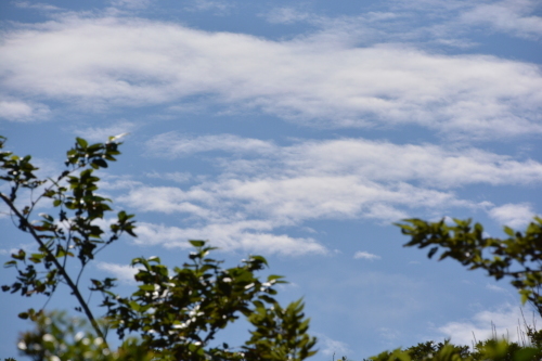 c0204385_21164700.jpg