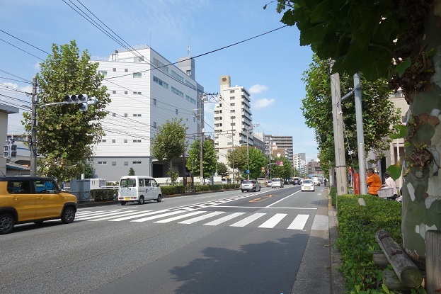 d0183387_19493238.jpg