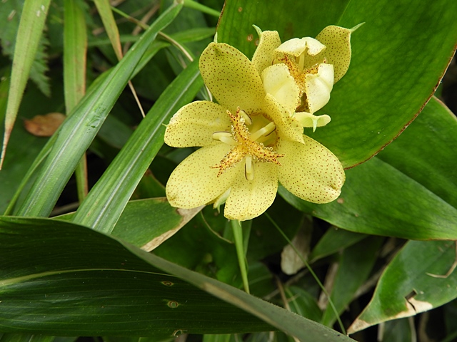 f0357487_2352271.jpg