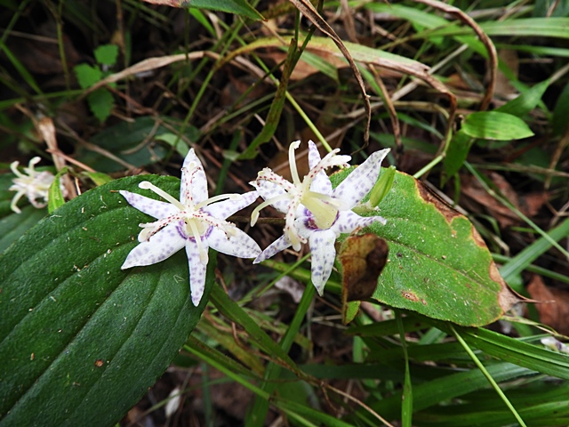 f0357487_23565376.jpg