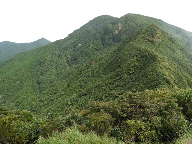 f0357487_23574541.jpg