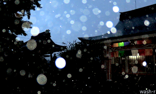 b0029488_07215860.jpg