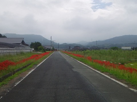 b0266191_19041735.jpg